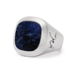 Membership Ring 2.0 -Playboy Clothing 003ring3acopya e4d3bc23 6b7b 4094 9e35 3f013fb291c8