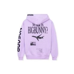 Aviation Wings N950PB Hoodie -Playboy Clothing BIgBunny Hoodie Mauve crop002 c61f98b6 5b8a 4225 8e79 d327a2a49e72