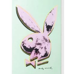 Warhol Skate Deck -Playboy Clothing Playboy WarholSkateDeck Mint 04