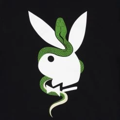 Playboy X The Great Frog Hoodie -Playboy Clothing PlayboyxTGFEntwinedHoodieBlackBackDetail badac576 6512 4735 ba4c f3d58f48e1e3