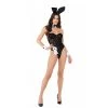 Playboy Sheer Bodysuit - 8pcs Set -Playboy Clothing playboy sheer bodysuit front